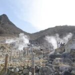 Hakone 6hr Private Tour with Government-Licensed Guide - A guide who helps with more than history