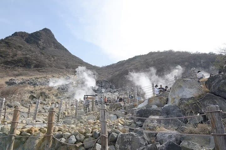 Hakone 6hr Private Tour with Government-Licensed Guide - A guide who helps with more than history