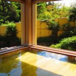 Hakone Kowaki-en Yunessun Hot Spring Theme Park Ticket - The wine, coffee, and tea baths