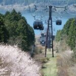 Hakone Ropeway One-Way / Round-Trip Ticket - From Sounzan to Owakudani: the volcanic section