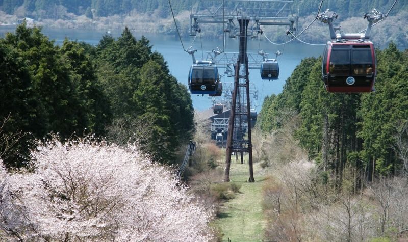 Hakone Ropeway One-Way / Round-Trip Ticket - From Sounzan to Owakudani: the volcanic section