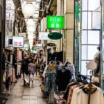 Half-Day Osaka Off-The-Beaten-Path City Exploration Walking Tour - Osaka Castle, with the focus outdoors