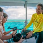 Half-Day Outer Reef Snorkel Experience from Cairns - One reef location, chosen for conditions