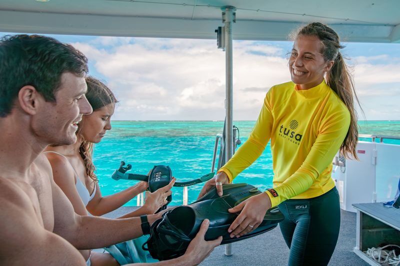 Half-Day Outer Reef Snorkel Experience from Cairns - One reef location, chosen for conditions