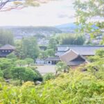 Half-Day Private Guided Tour to the Silver Pavilion in Kyoto - The Suirokaku Aqueduct: engineering in a temple setting