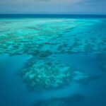 Half Day Reef Adventure to Upolu Reef - What the 27-person limit means
