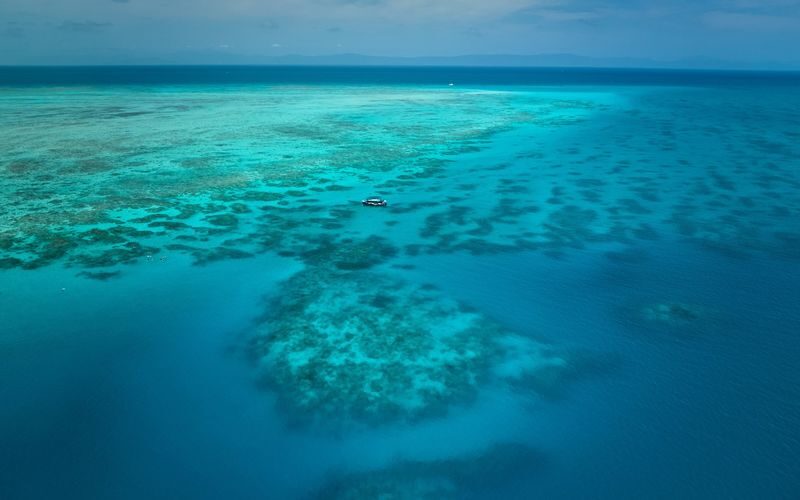 Half Day Reef Adventure to Upolu Reef - What the 27-person limit means
