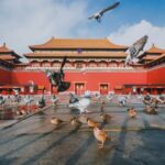 Half-Day Tour of the Forbidden City (Palace Museum) and Jingshan Park in Beijing - Through the main ceremonial halls