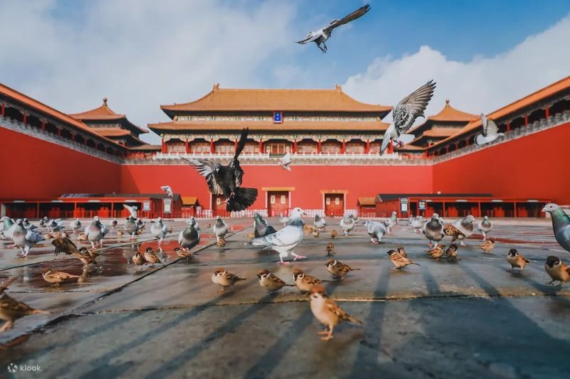 Half-Day Tour of the Forbidden City (Palace Museum) and Jingshan Park in Beijing - Through the main ceremonial halls