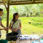 Half-Day Tour to Krabi Elephant Care House Experience - From Hotel Pickup to the Jungle Trail