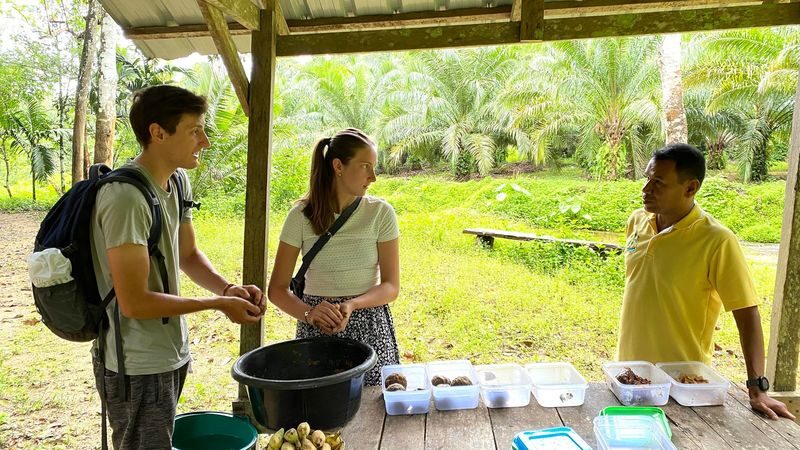Half-Day Tour to Krabi Elephant Care House Experience - From Hotel Pickup to the Jungle Trail
