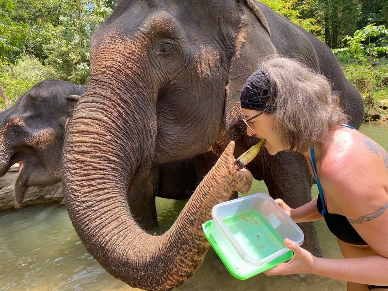 Half-Day Tour to Krabi Elephant Care House & Swimming at Huay To Waterfall - Mud baths, then a wash in the water