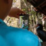 Half-Day Trip to Lok Kawi Wildlife Park Sabah - The Morning Pick-Up and Shared Ride