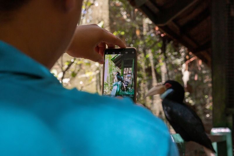 Half-Day Trip to Lok Kawi Wildlife Park Sabah - The Morning Pick-Up and Shared Ride