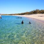 Half Day Wavebreak Island Snorkeling - Fish, visibility and the coral question