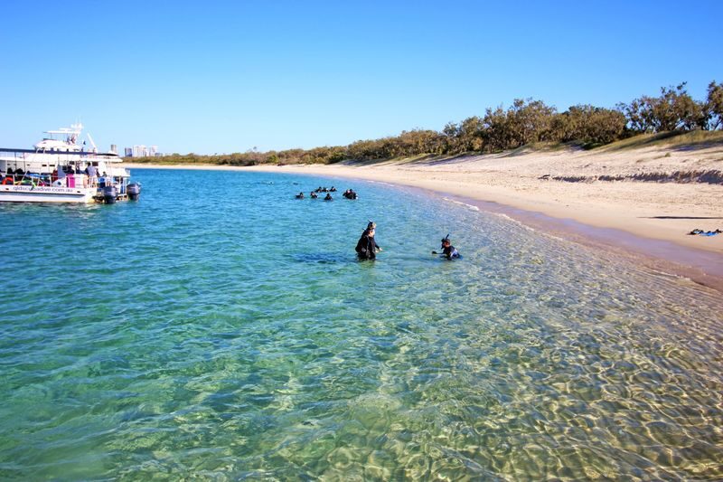 Half Day Wavebreak Island Snorkeling - Fish, visibility and the coral question