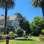 Half-Day Wine Tasting Tour from San Francisco - Two wineries, two different tasting rooms