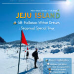 Hallasan National Park Half-day National Park & Winter Tour - Forest, snow and the view