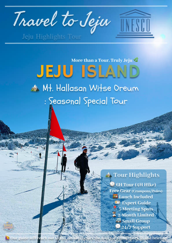 Hallasan National Park Half-day National Park & Winter Tour - Forest, snow and the view