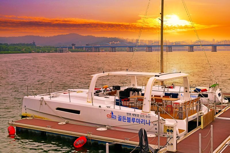 Han River Sevit Island Yacht Experience (Pets allowed) - What happens aboard the yacht
