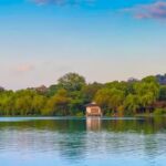 Hangzhou Day Trip from Shanghai/Hangzhou | West Lake + Lingyin Temple + High-Speed Rail Round Trip, English Small Group Tour - Lunch is a useful pause, not an included meal