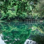 Hangzhou Longjing Tea Plantation Light 5km Hiking Tea Culture Experience Tour - Jiuxi Waterfall and the Eighteen Streams