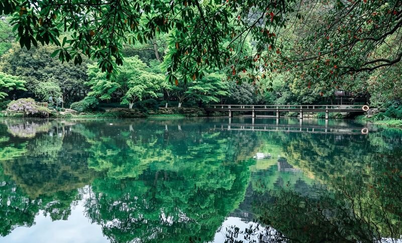 Hangzhou Longjing Tea Plantation Light 5km Hiking Tea Culture Experience Tour - Jiuxi Waterfall and the Eighteen Streams