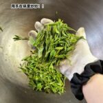 Hangzhou Meijiawu Tea Culture Half-Day Experience - Picking leaves, one bud at a time