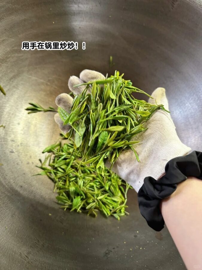 Hangzhou Meijiawu Tea Culture Half-Day Experience - Picking leaves, one bud at a time