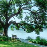 Hangzhou West Lake and Lingyin Temple Full-Day Tour including Boat Ride - West Lake by boat, then on foot