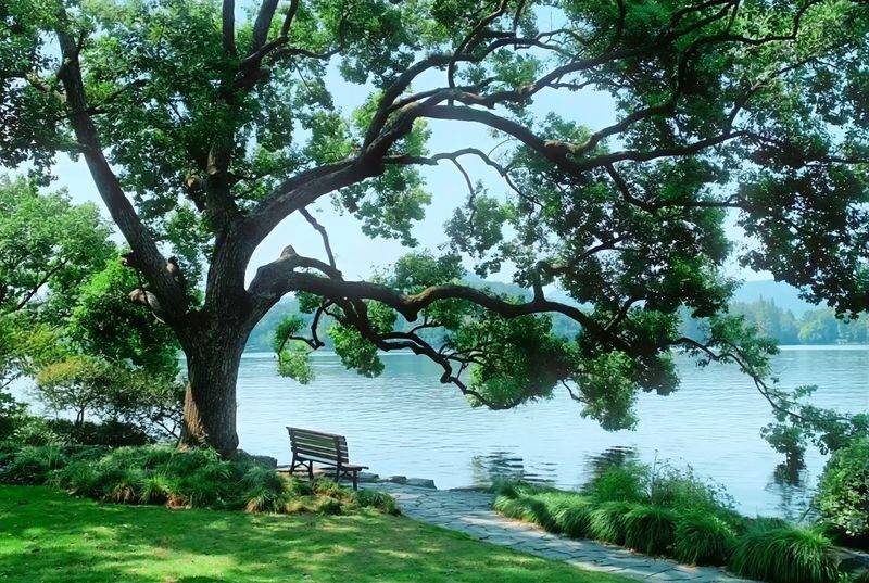 Hangzhou West Lake and Lingyin Temple Full-Day Tour including Boat Ride - West Lake by boat, then on foot