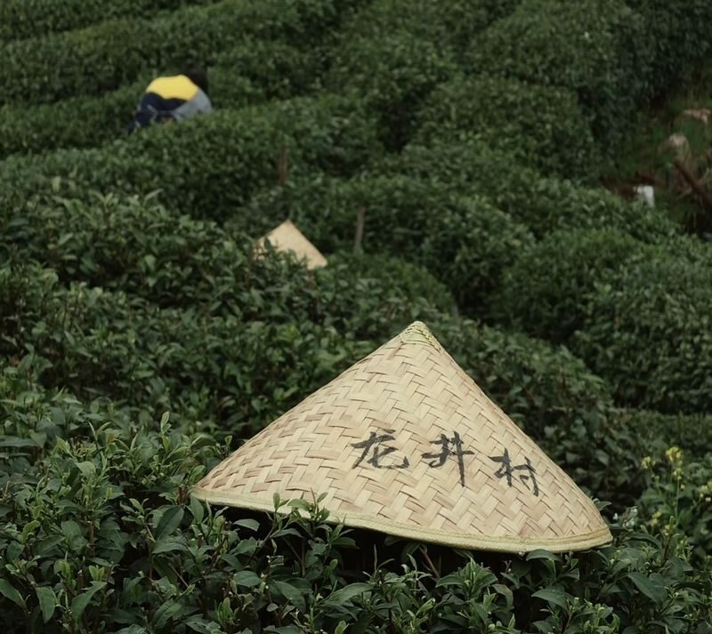 Hangzhou Xixi Wetland + Longjing Village Tea Picking Group Day Tour - Choose the full day for tea and more Hangzhou