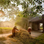 Hanoi Duong Lam Ancient Village Full-Day Tour with Jeep - Guides turn historic stops into a cultural visit