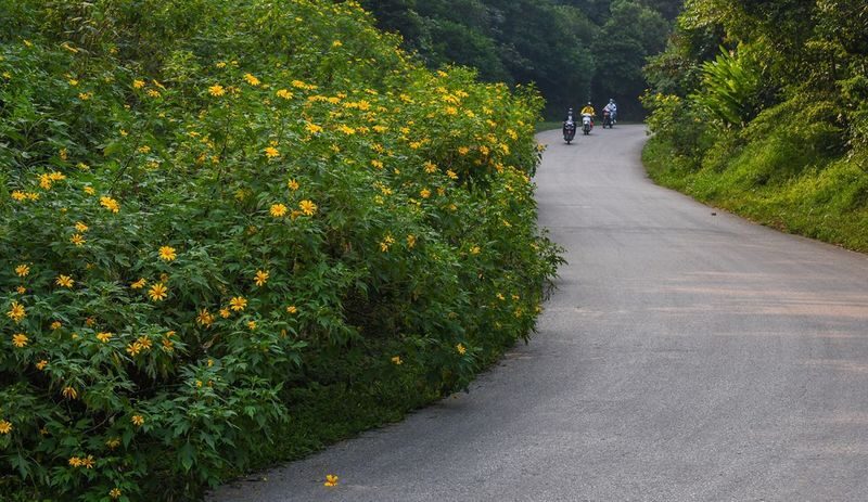Hanoi Jeep Tour to Ba Vi National Park & Duong Lam Village - Lunch, then a slower look at Duong Lam
