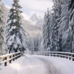 Harbin Snow Country Yabuli Hengdaohezi Private 5-Day Tour - Snow Town: snowmobiles, folk dancing and a busy day