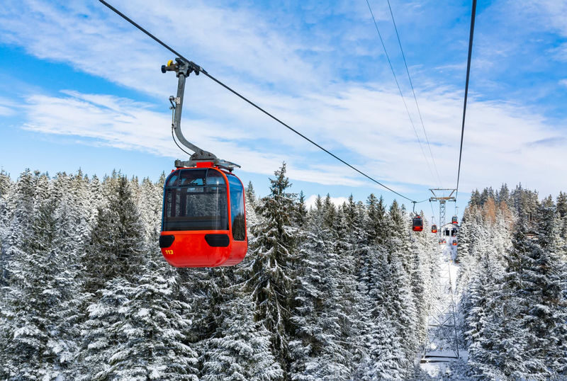 Harbin-Yabuli Ski Day Trip | Includes Direct Bus + Ski Equipment + Full-Day Skiing - A sleigh ride through the snowy forest