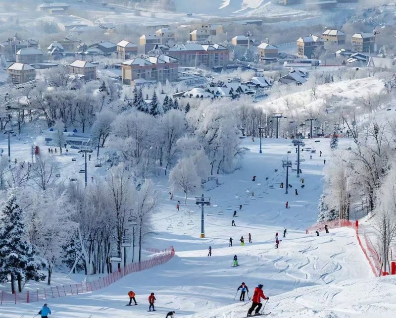 Harbin Yabuli Ski Day Trip (Ski Ticket Included) - The Harbin pickup and the long ride north