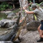 Hartleys Crocodile Adventures Ticket - Follow the paths beyond the crocodiles