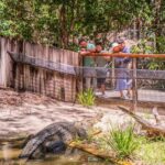 Hartleys Crocodile Adventures Full or Half Day Tour - The full-day option: Kuranda by rail and cableway