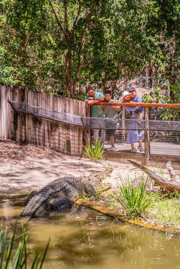 Hartleys Crocodile Adventures Full or Half Day Tour - The full-day option: Kuranda by rail and cableway