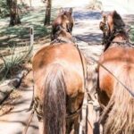 Harvest the Hunter Wine and Produce 3-Hour Tour - How the three-stop itinerary works