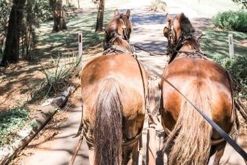 Harvest the Hunter Wine and Produce 3-Hour Tour - How the three-stop itinerary works