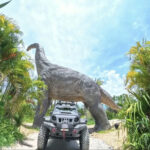 Have Fun in Okinawa Premium Pass (Day tour, Churami Aquarium and DMM Aquarium) - Churaumi and DMM: two aquarium choices