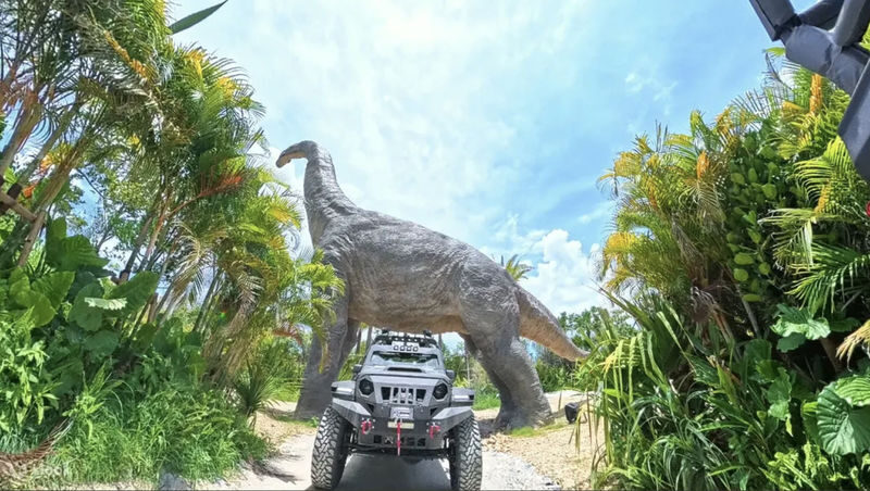 Have Fun in Okinawa Premium Pass (Day tour, Churami Aquarium and DMM Aquarium) - Churaumi and DMM: two aquarium choices