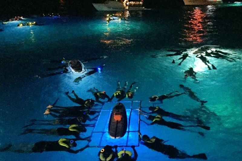 Hawaii Big Island Manta Ray Night Snorkel Experience - The manta encounter, close and unpredictable