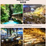 Hebu Kari Observatory, Akiyoshido Cave, Motonosumi Shrine, and Tsunoshima Bridge Day Trip (From Fukuoka) - A quick look over the Kanmon Strait at Mekari PA