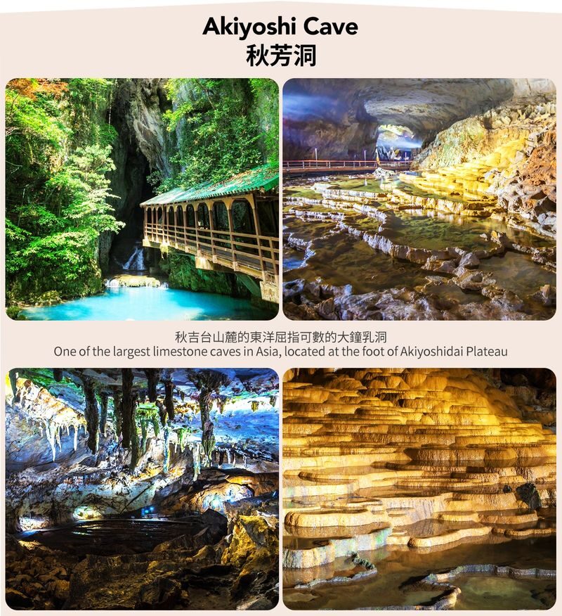 Hebu Kari Observatory, Akiyoshido Cave, Motonosumi Shrine, and Tsunoshima Bridge Day Trip (From Fukuoka) - A quick look over the Kanmon Strait at Mekari PA