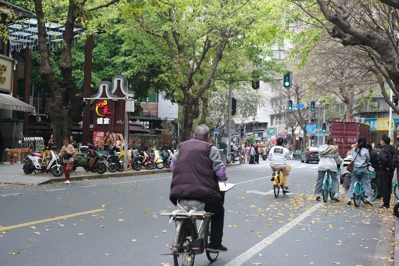 Hidden Flavors of Xihua Road: A 2-Hour Local Food Tasting in Guangzhou - A guide who can bridge the language gap