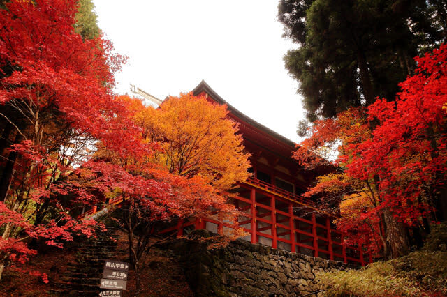Hieizan Enryaku-ji Temple Admission Ticket in Shiga - West Pagoda: another part of the pilgrimage