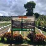 Highlands Tour in Davao - Hills View, Sonnen Berg and the search for clouds